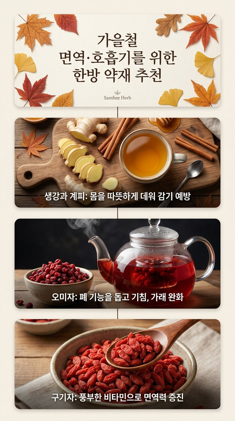 가을철 면역,호흡기를 위한 한방 약재 추천
