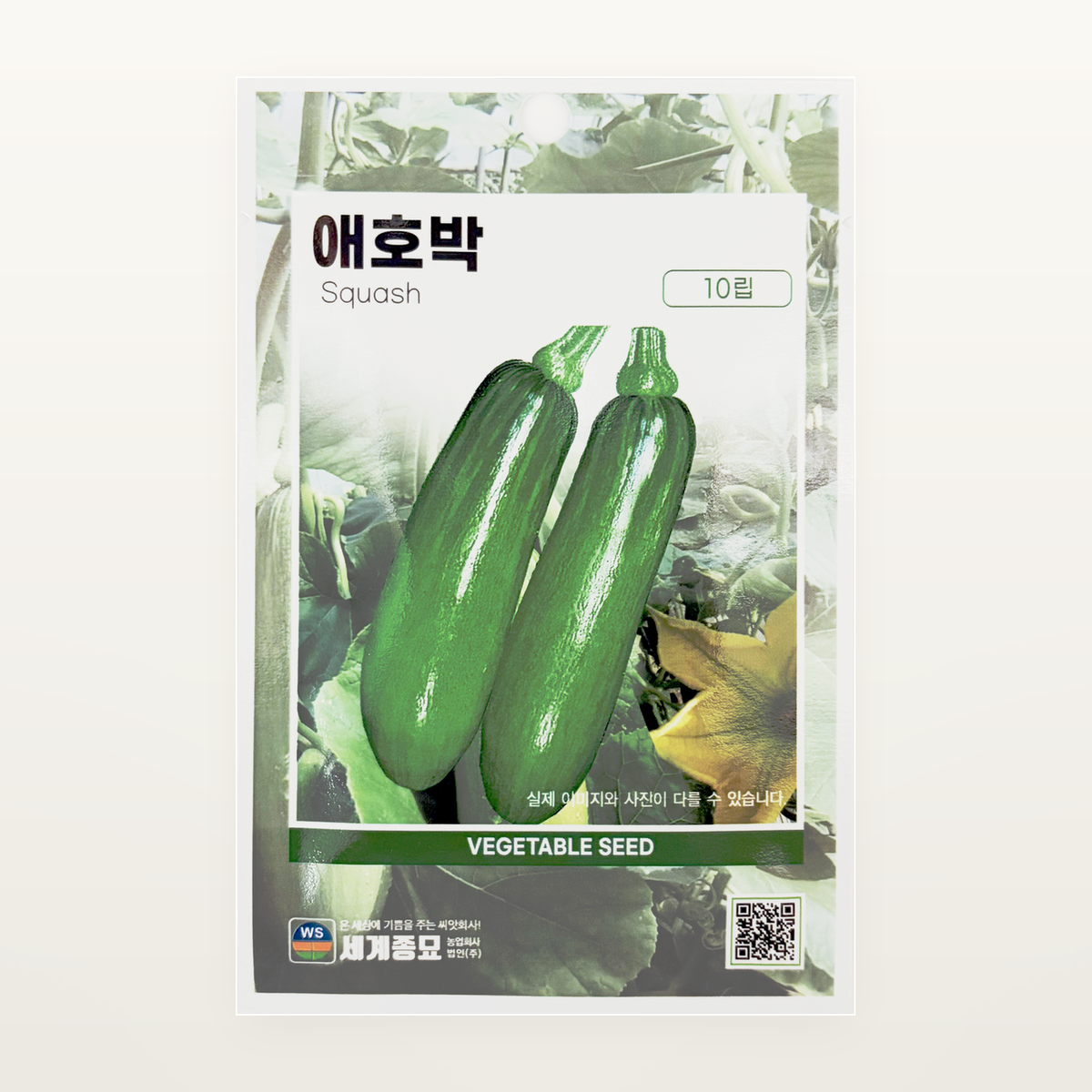 애호박 씨앗 Squash