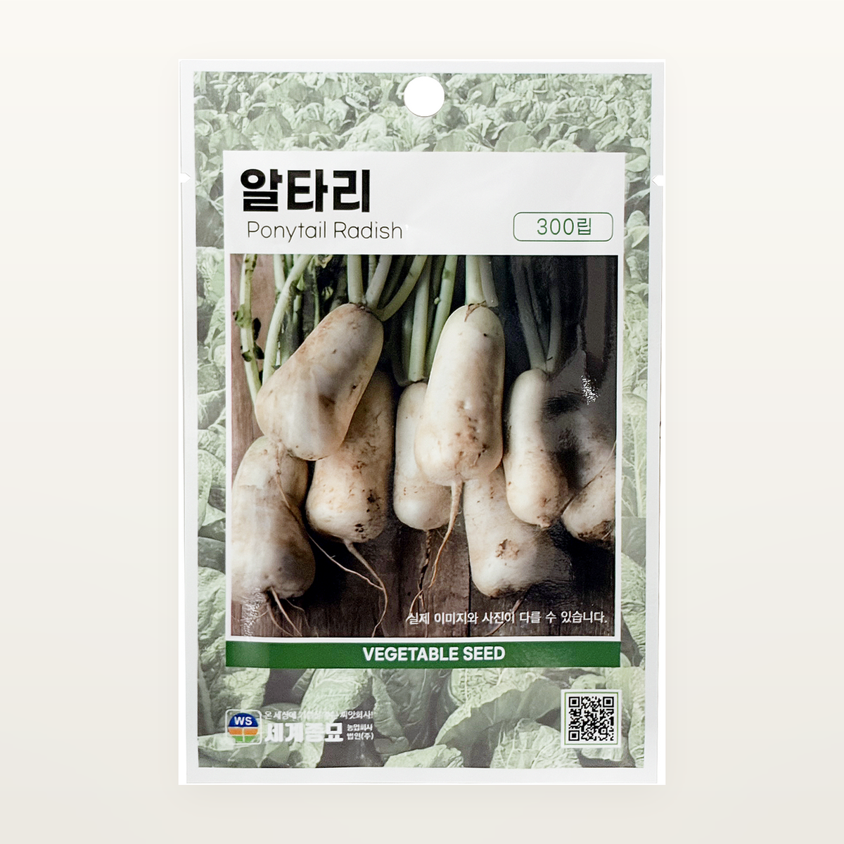 알타리 씨앗 Ponytail Radish