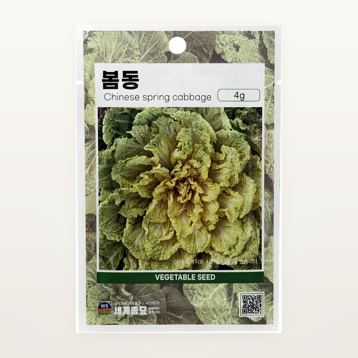 봄동 씨앗 Chinese Spring Cabbage