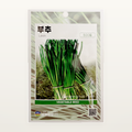 부추 씨앗 Leek