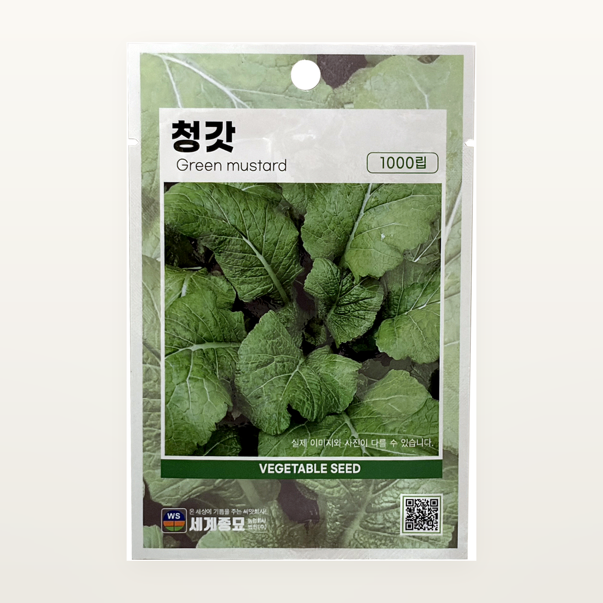청갓 씨앗 Green Mustard