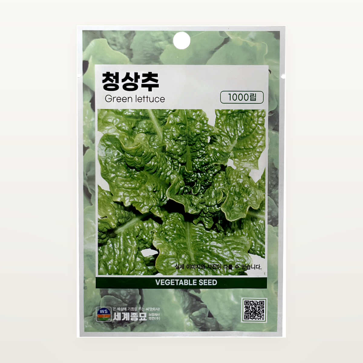 청상추 씨앗 Green lettuce