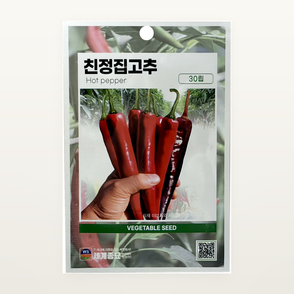 친정집고추 씨앗 Hot pepper