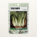 엇갈이배추 씨앗 Chinese Cabbage