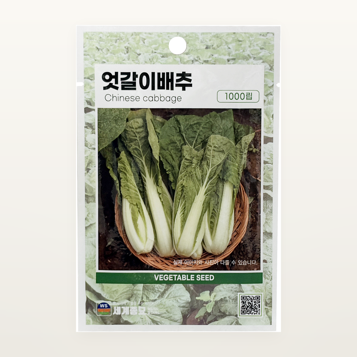 엇갈이배추 씨앗 Chinese Cabbage