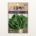 고들빼기 씨앗 Crepidiastrum sonchifolium