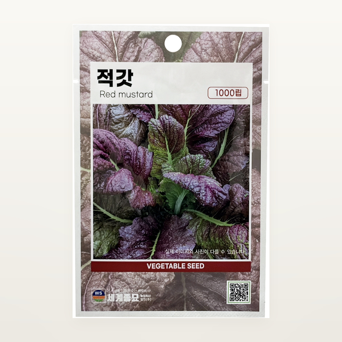 적갓 씨앗 Red mustard