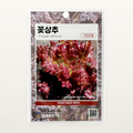 꽃상추 씨앗 Flower Lettuce
