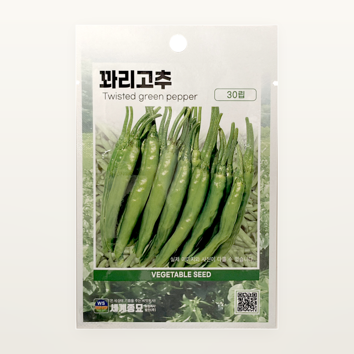 꽈리고추 씨앗 Twisted green papper