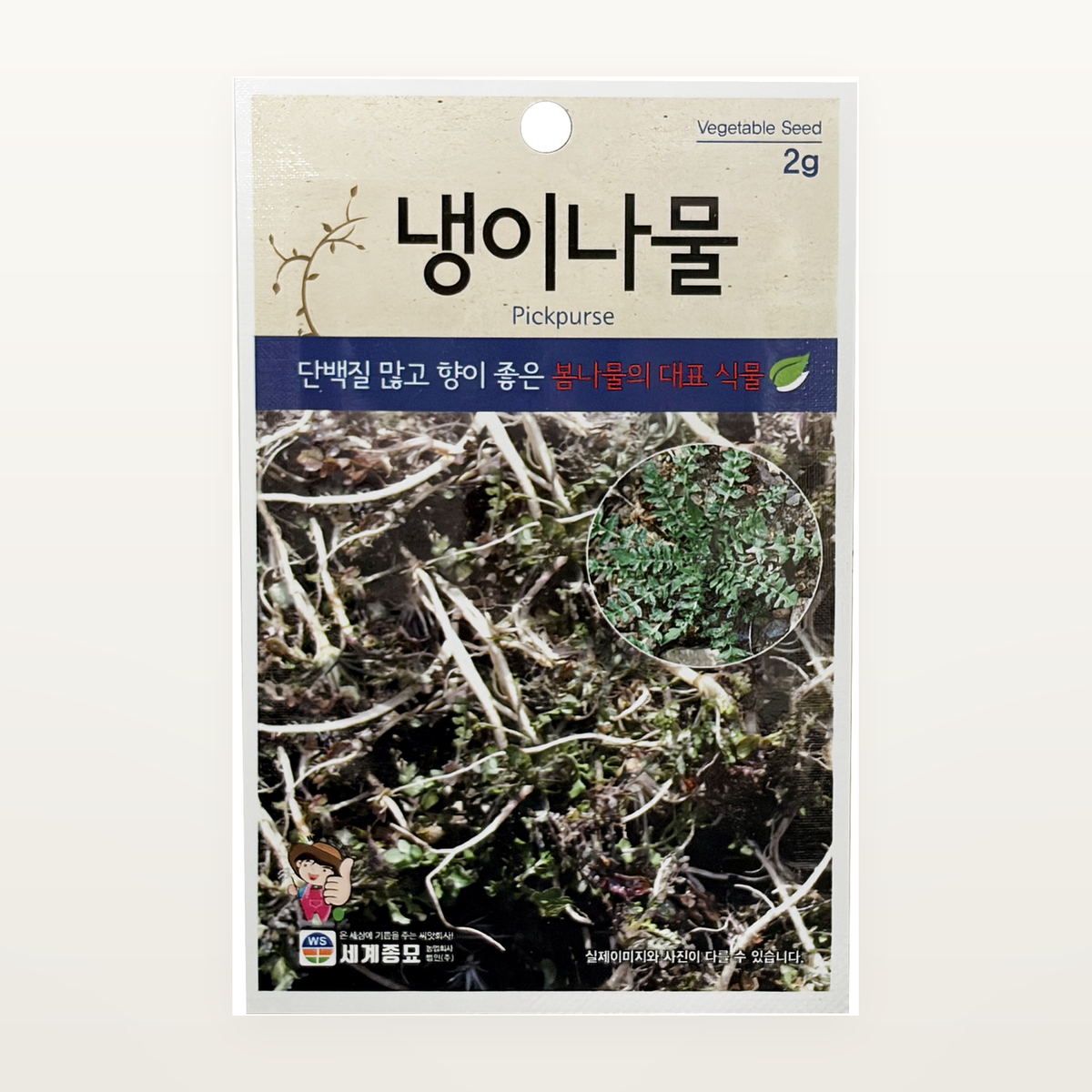 냉이나물 씨앗 Pickpurse