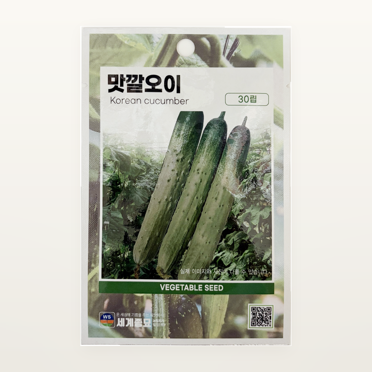 맛깔오이 씨앗 Korean cucumber