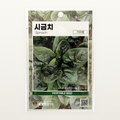 시금치 씨앗 Spinach
