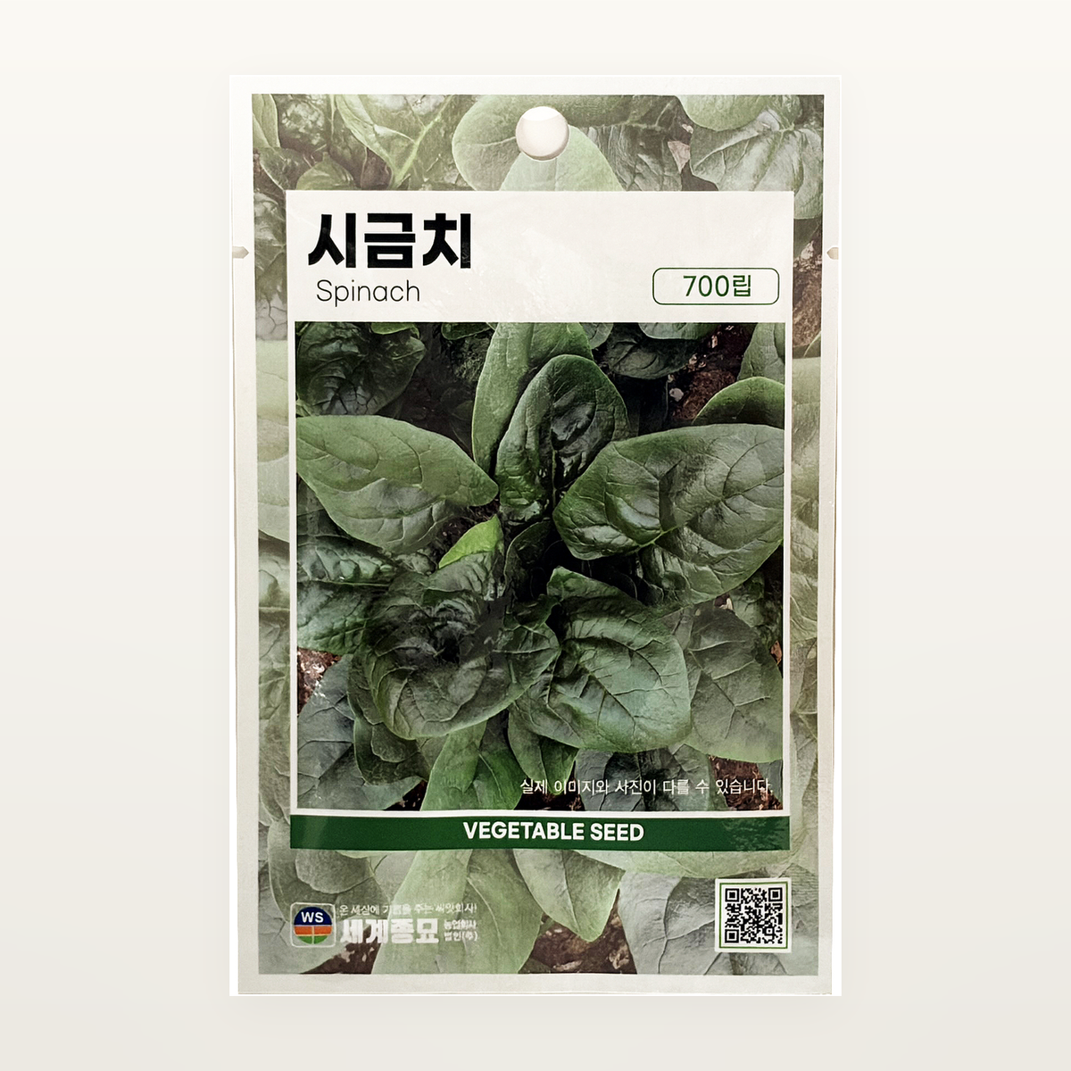 시금치 씨앗 Spinach