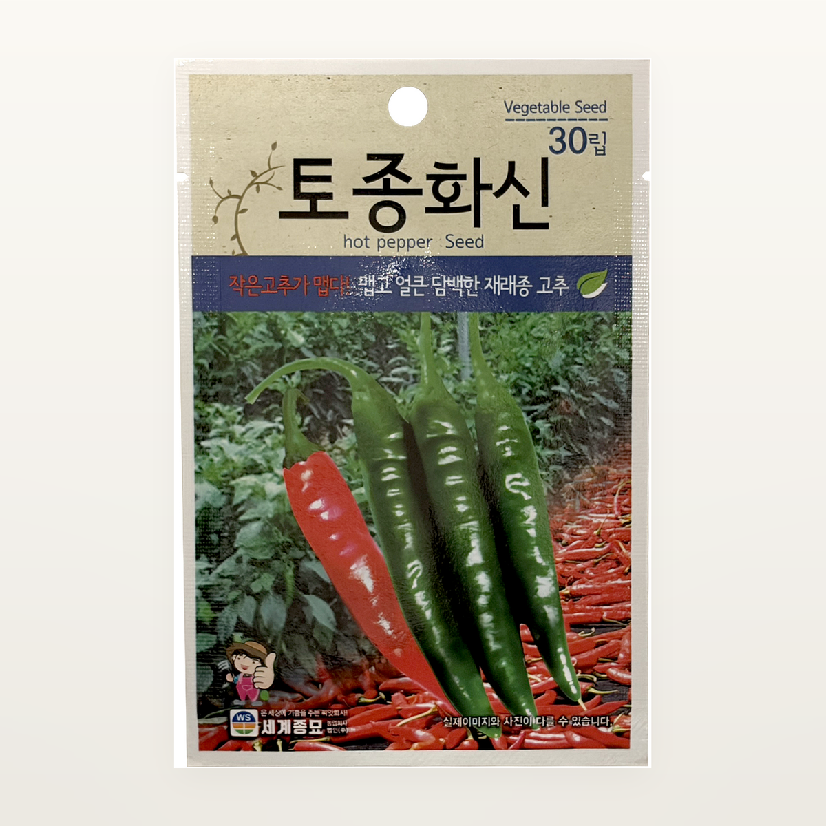 토종화신 씨앗 Hot pepper Seed