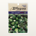꼬미방울양배추 씨앗 Brussels sprout