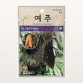 여주 씨앗 Momodica charantia L.