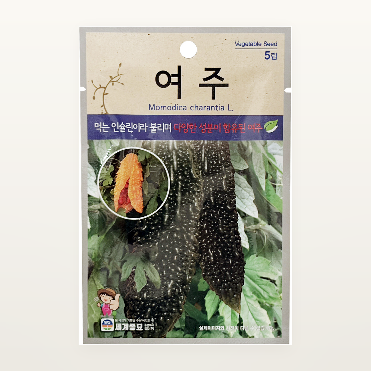 여주 씨앗 Momodica charantia L.